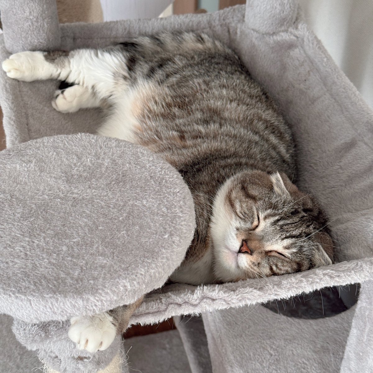 守りたい寝顔🥺✨