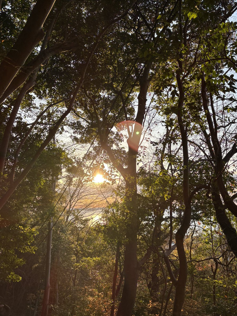 じゃくりん tweet media