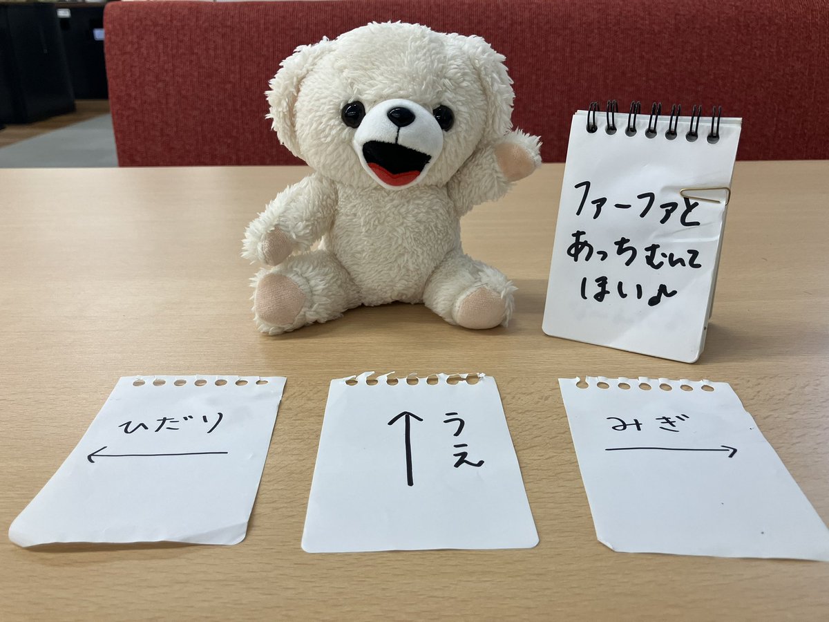 NSファーファ・ジャパン【公式】 (@nsfafajapan) / Posts / X