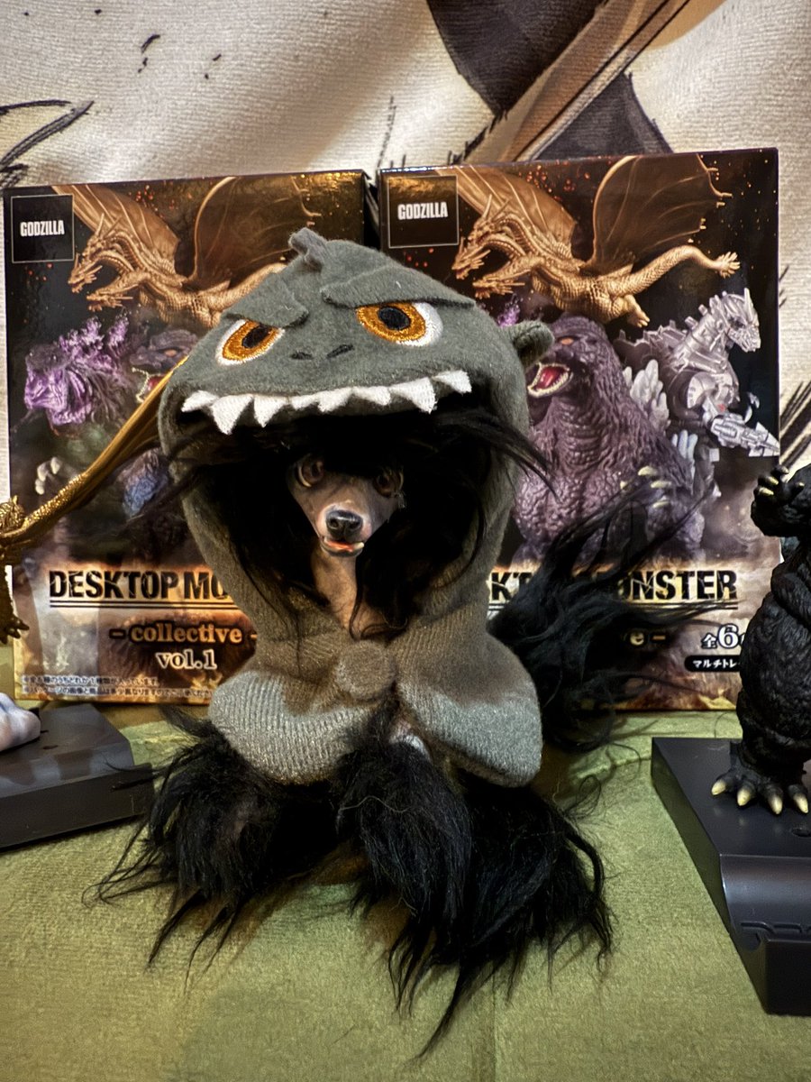 白いカラス　アートドール　作家様製 白いカラス アートドール 作家様製 - メルカリ