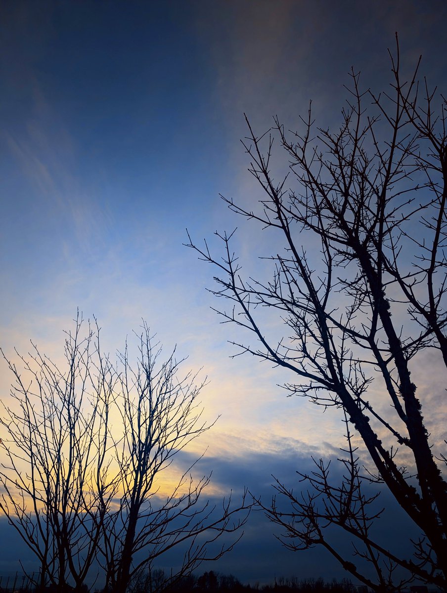 nick_trigger11's tweet image. 今日は雲が多くて夕日は無しです(´･ω･`)
 #イマソラ
 #スマホ写真