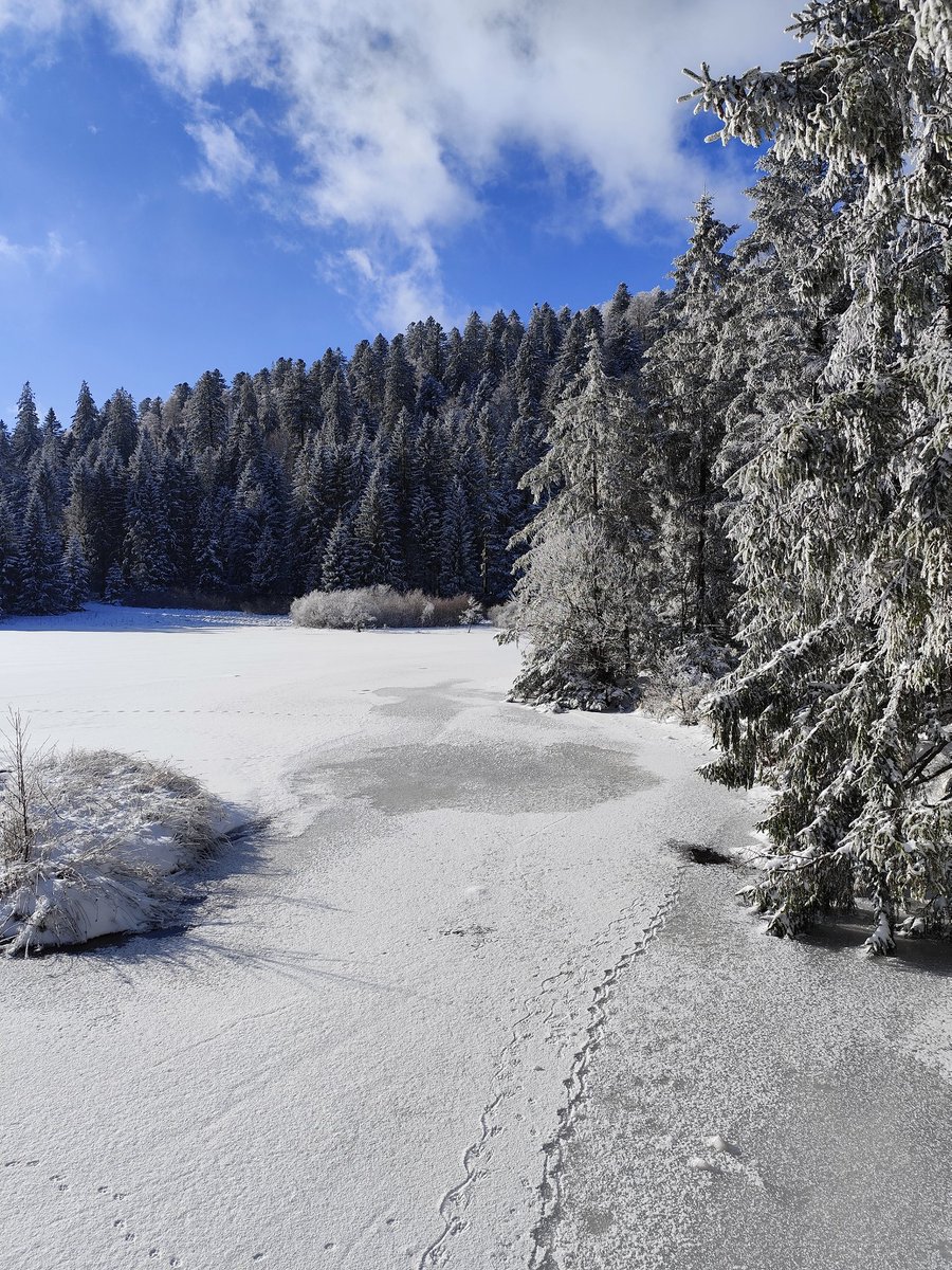 Bonjour de La Bresse #HautesVosges des bords du Lac de la Ténine <a href="/Visit_LaBresse/">Office de Tourisme de La Bresse</a>