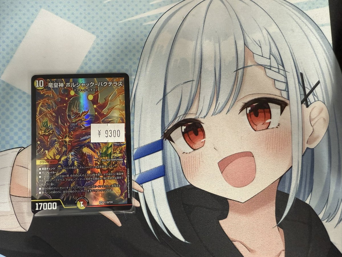 🎍バクテラス プロモ入荷しました🎍