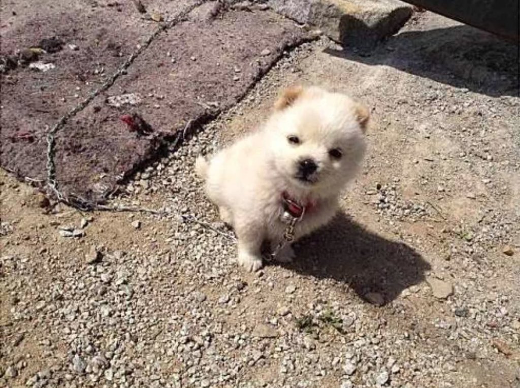 bbinniebabe's tweet image. 