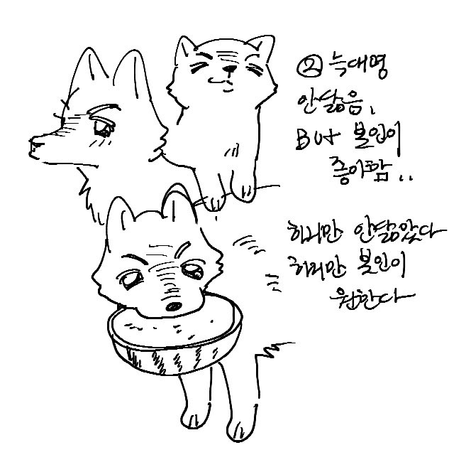 doriqnghkf's tweet image. 여러분의선택은?