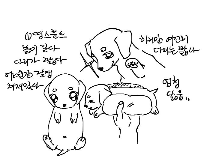 doriqnghkf's tweet image. 여러분의선택은?