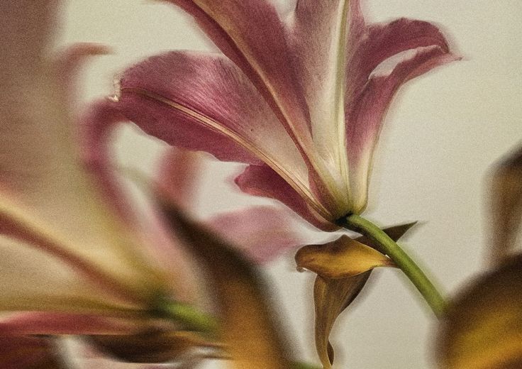 Mokasakaa's tweet image. a cup of comfort on sunday morning
with love,
☕