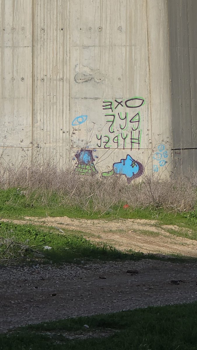 גרפיטי נישתי