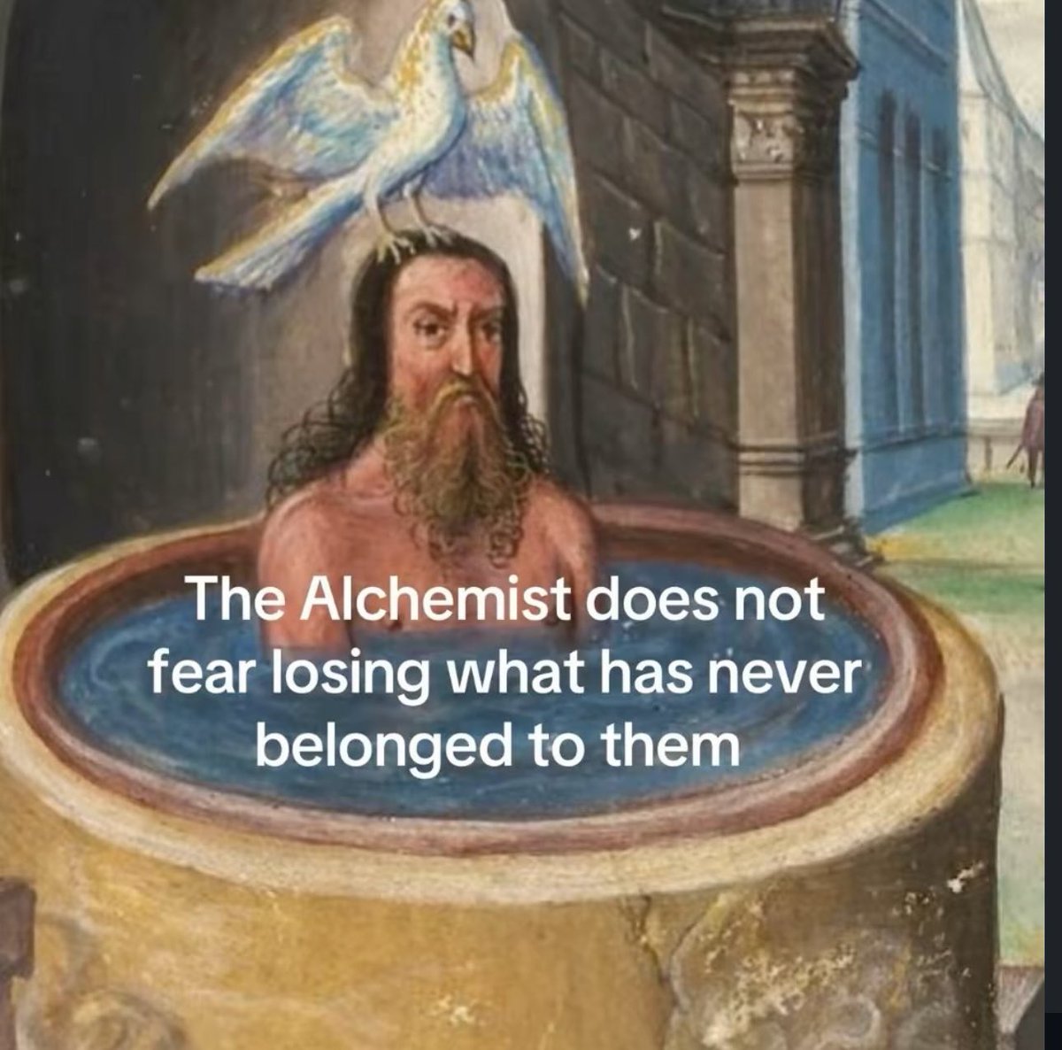 virotechnics's tweet image. 