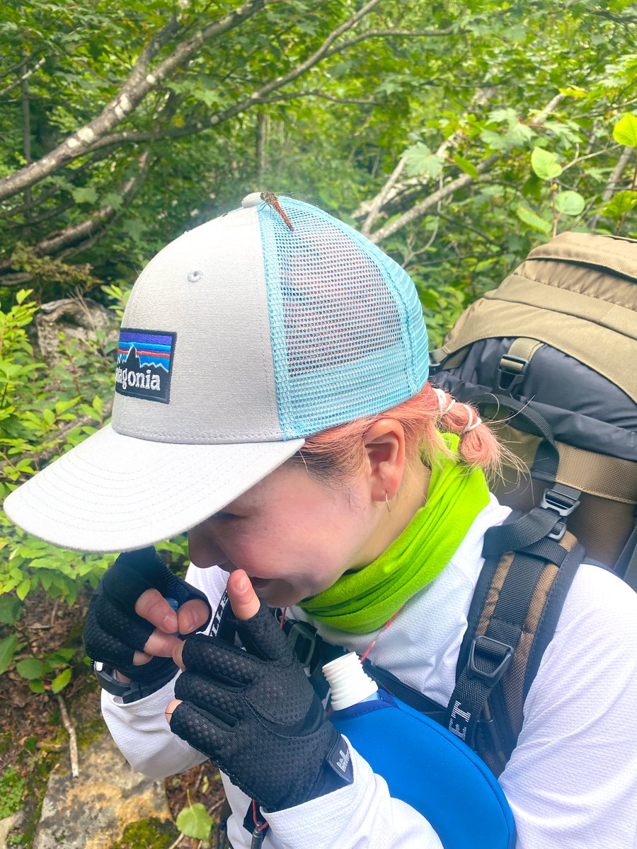 今年は約30年ぶりに燕に登りたい

⛰️🥾✨✨🫶

登山中は
よく色んな虫の休憩所として
使われます

#時の経過スピード
Σ(๛д๛) 
#幻の髪ピンク期
#この時は常念岳 
#年季の入った山女