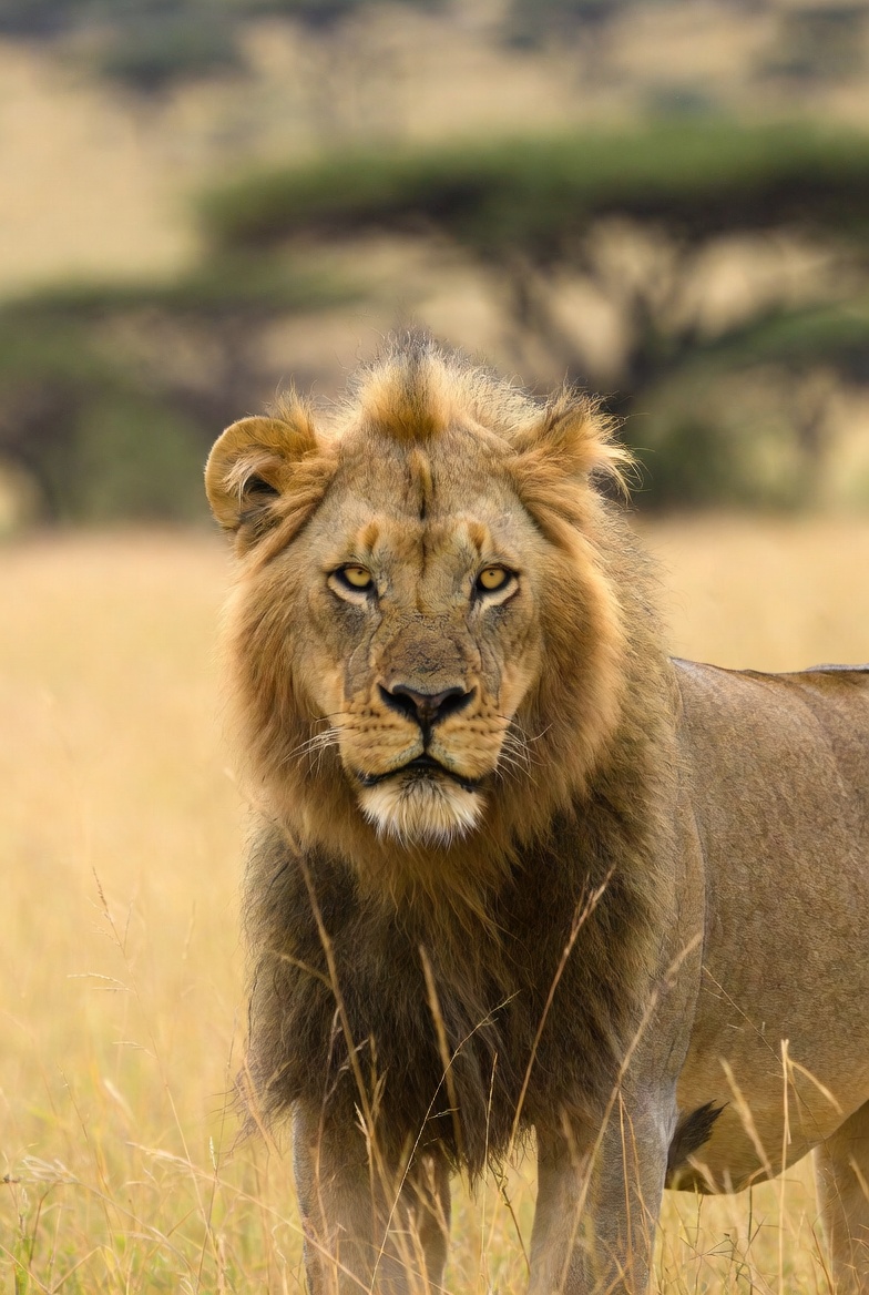 <a href="/elagelaga2/">Bruce Lee</a>