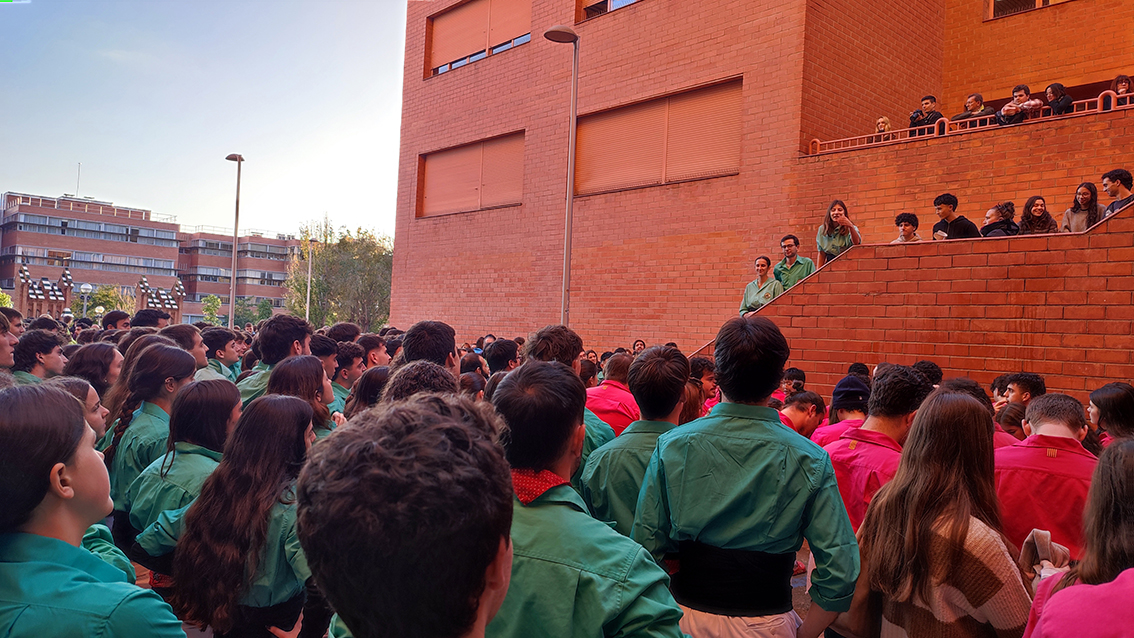 Revista Castells tweet media