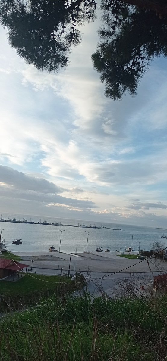 Καλημέρα χρόνια πολλά στους εορτάζοντες και καλή προσαρμογή στην καθημερινότητα κ αυτό που ζούμε σαν περίπου χειμώνα