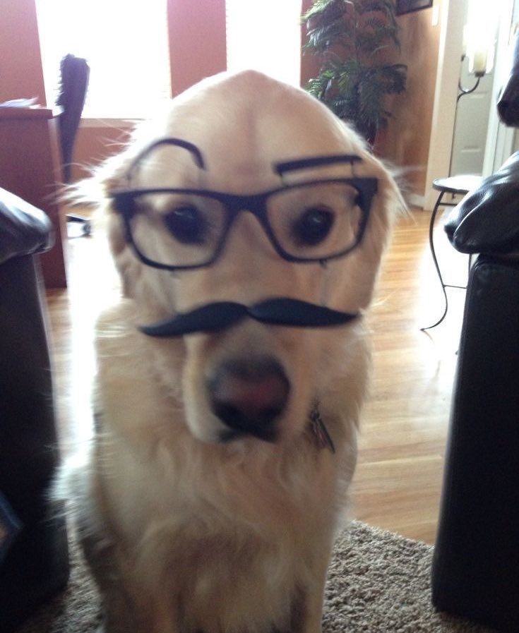 surfingtonni's tweet image. 