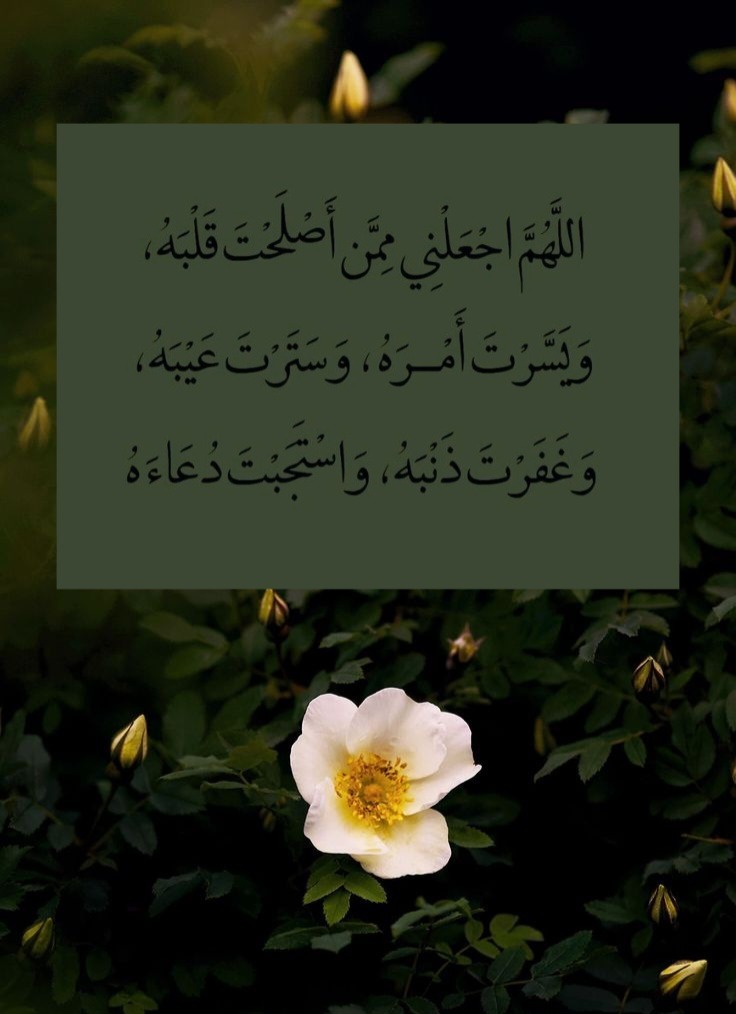 ربي أشرح لي صدري ويسر لي أمري

#صباح_الخيرᅠ