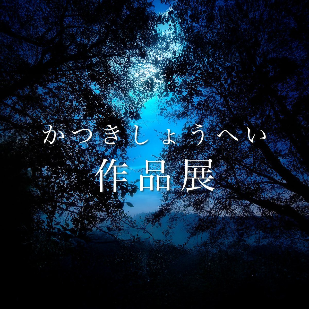 shoheikatsuki's tweet image. 【巡回展示のお知らせ】
大阪でも「はじまりの光」個展を開催します。
📅 2026/1/10(土)〜1/23(金)
📍 ソニーストア大阪　αプラザギャラリースペース（梅田・ハービスエント 4F）
🙋‍♂️ 1/10(土)は17:00まで在廊予定です。会場でお会いできたら嬉しいです。