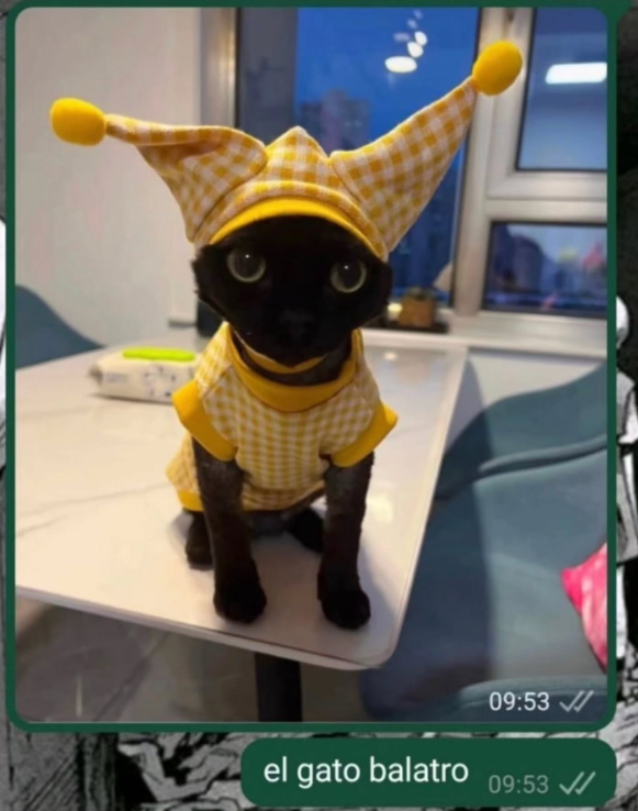 shitpost_2077's tweet image. 