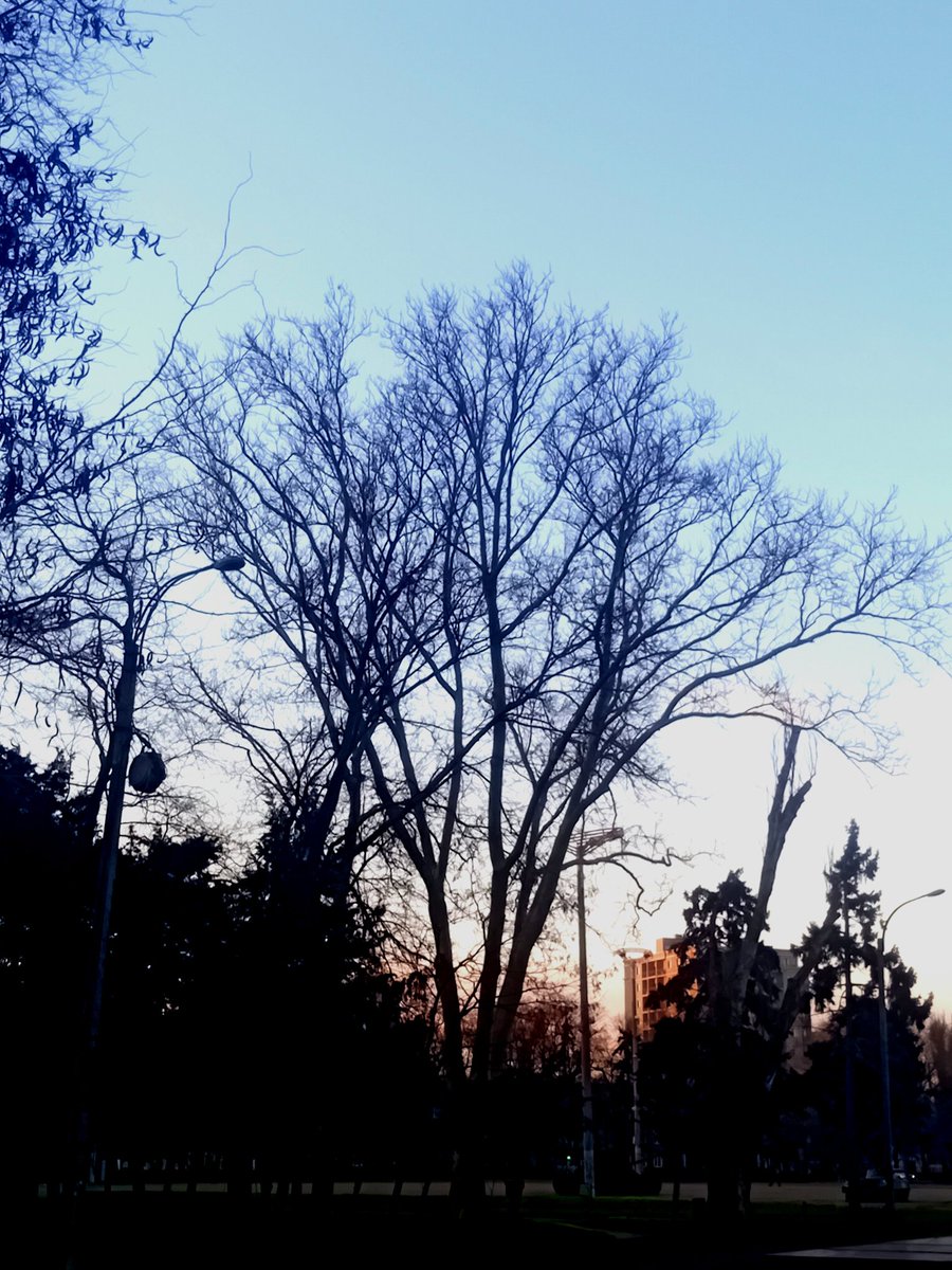 Катерина Галич tweet media