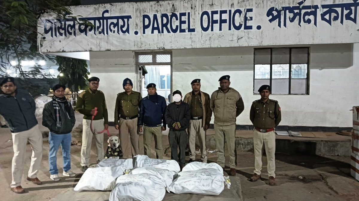 Acting on a secret information on 06/01/26, GRP Tripura detained 01 person with 120 kg dry ganja from Agartala Railway station. A specific case under the appropriate section of NDPS Act has been registered against him.
<a href="/Tripura_Police/">Tripura Police</a>
#SevaVeertaBandhuta
#SayNoToDrugsAndAlcohol