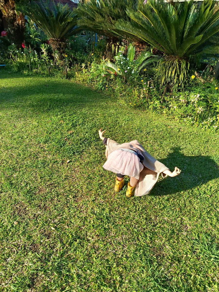 TinybirbCookies's tweet image. "ทำอะไรลูก" 

🐦"เล่นเป็นไก่" 
"กำลังจิกข้าวเปลือก"