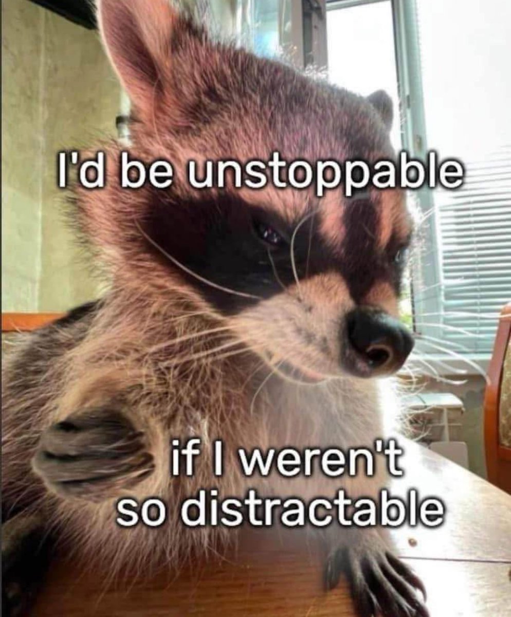 Respectful Memes tweet media