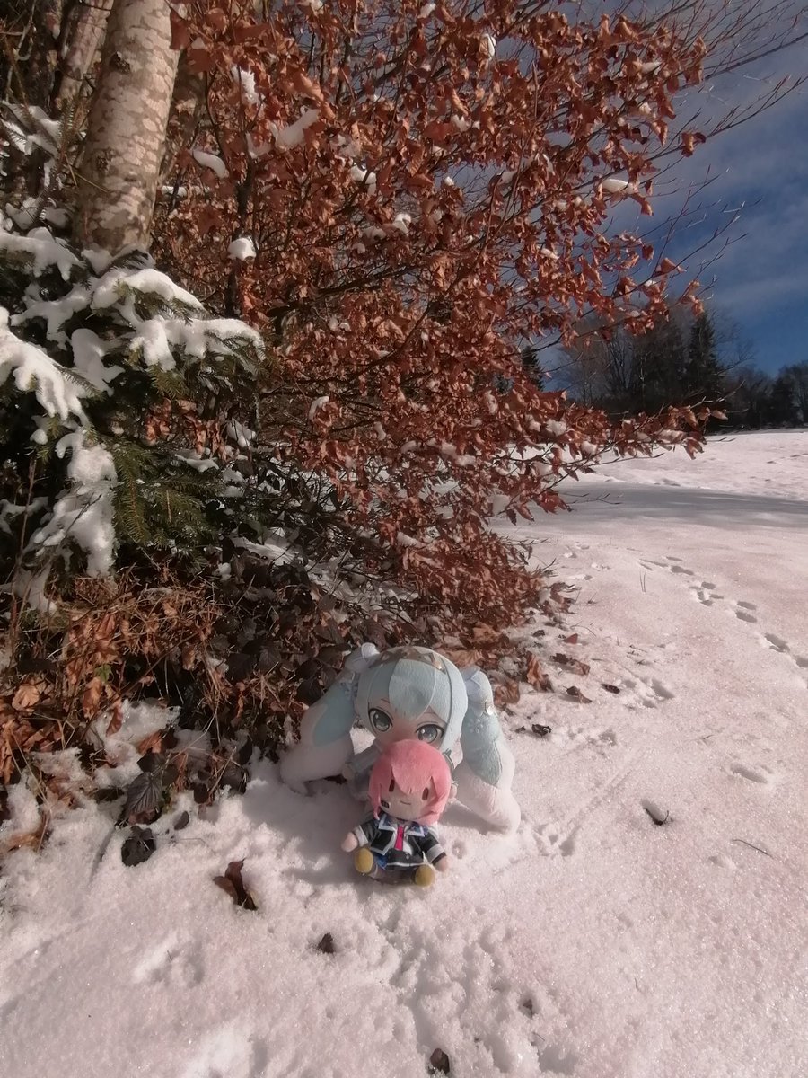 StefanPruner's tweet photo. いい天気は良かった。
巡音ルカは楽しみました。
#ぬいぐるみの時間 https://t.co/0b2cFAedWS
