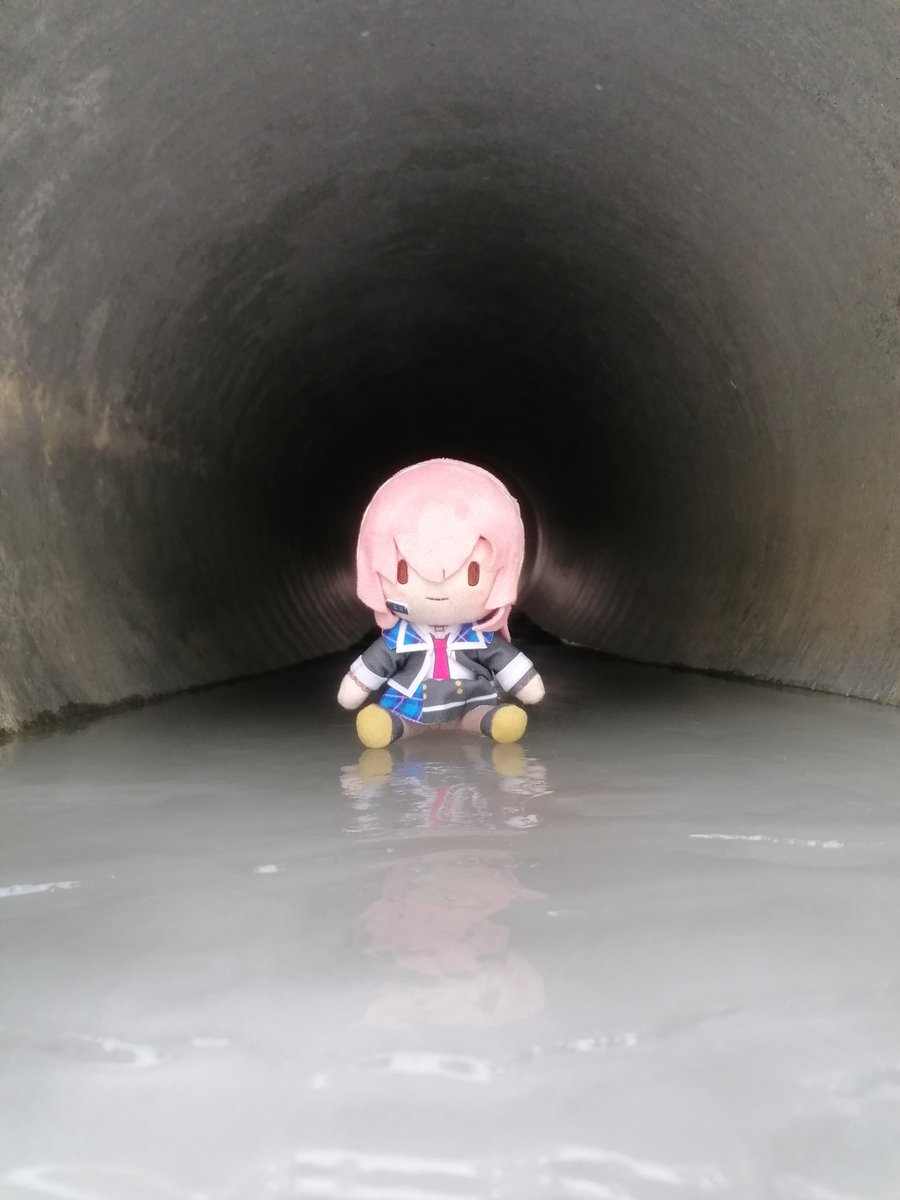 StefanPruner's tweet photo. いい天気は良かった。
巡音ルカは楽しみました。
#ぬいぐるみの時間 https://t.co/0b2cFAedWS