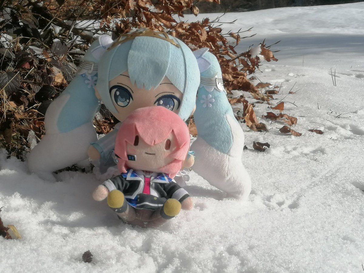 StefanPruner's tweet photo. 雪
雪
#雪ミク
#ぬいぐるみの時間 https://t.co/JcIOizDprE