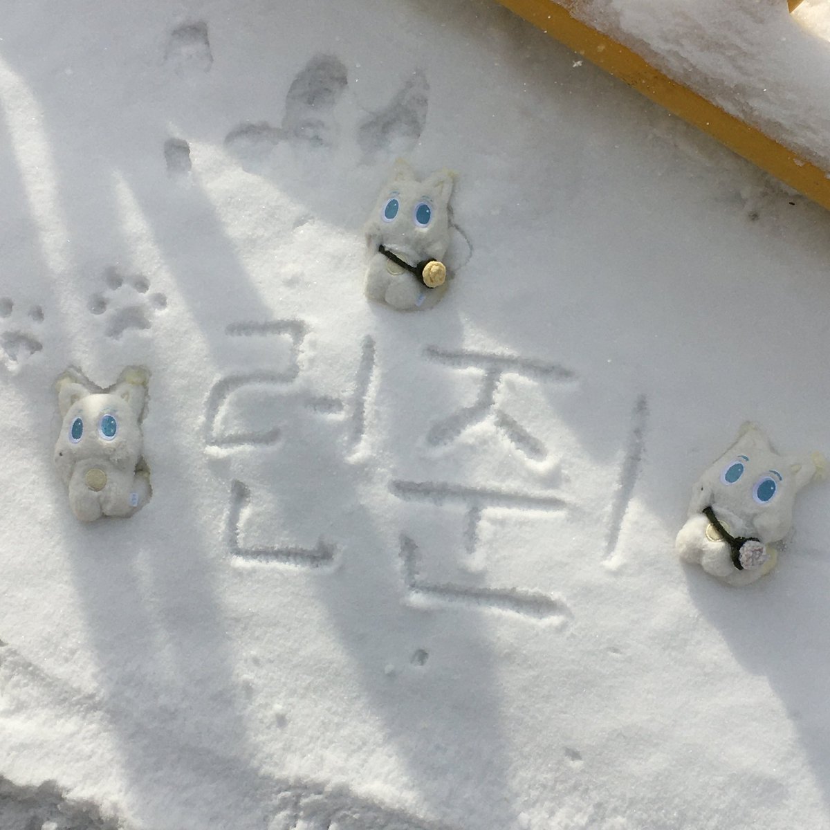 junee_S2's tweet image. 길림에서 사랑하는 런쥔시.°•▪︎💛❄️