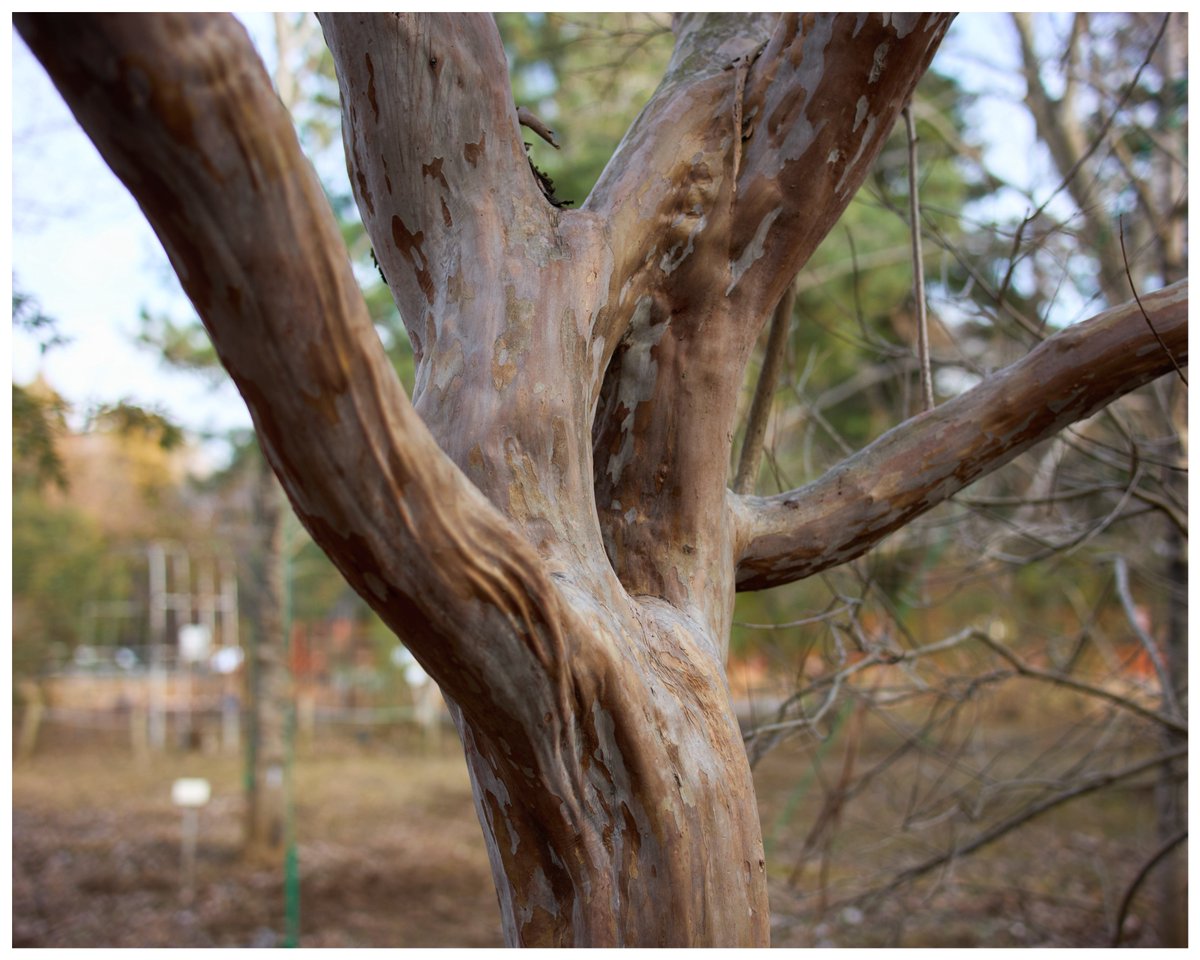 Utchie (@folding_29udon) on Twitter photo 