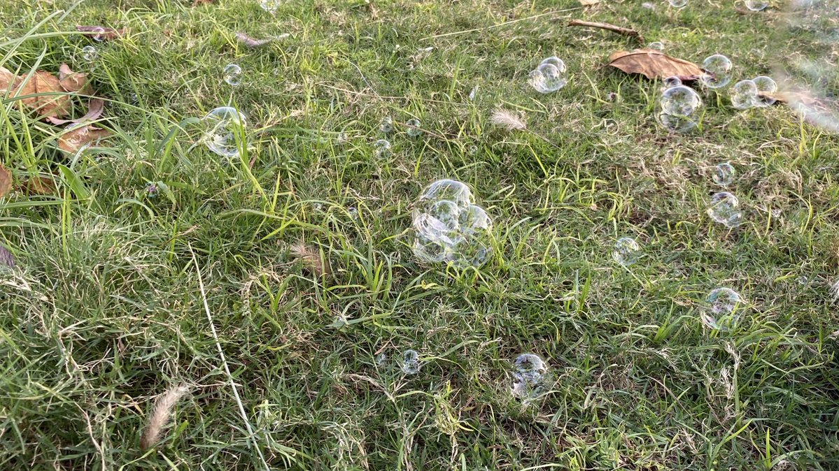 thegraylake's tweet image. ☘︎