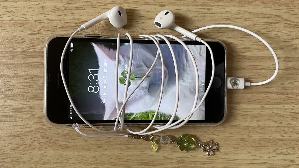 thegraylake's tweet image. ☘︎