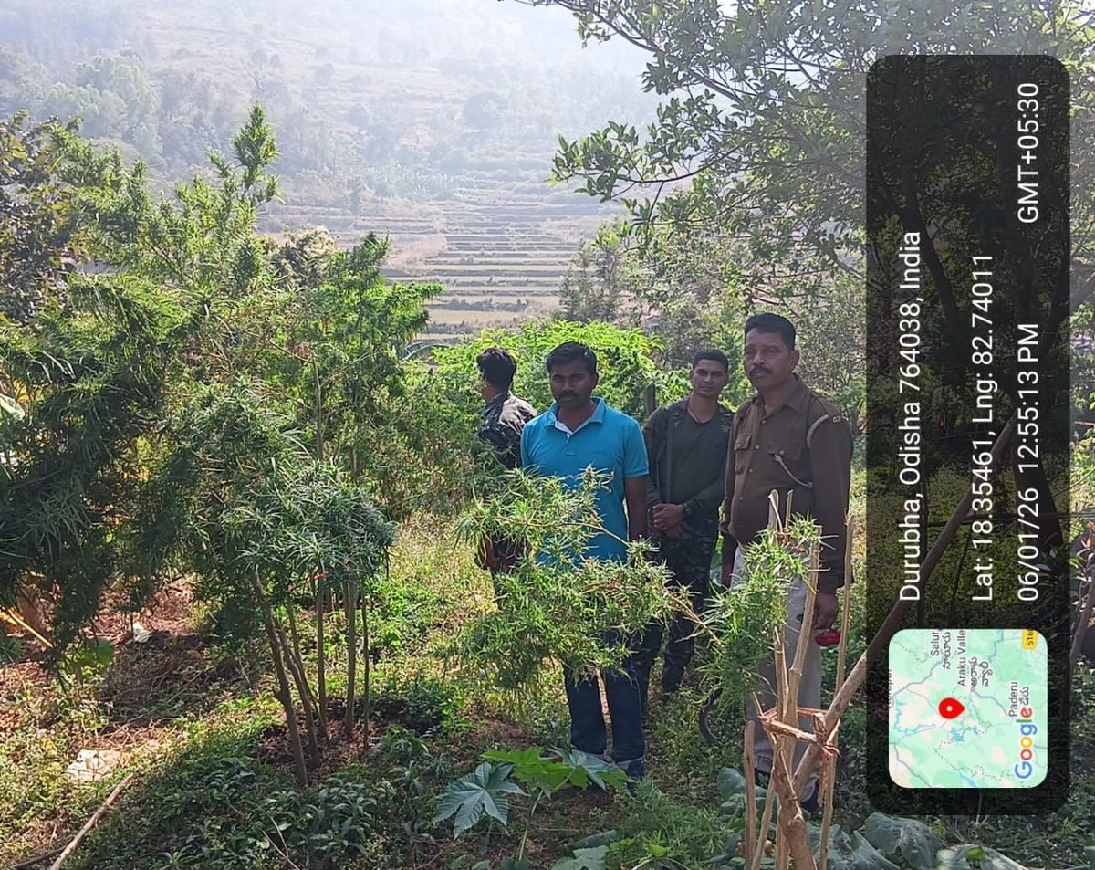 Koraput Police tweet media