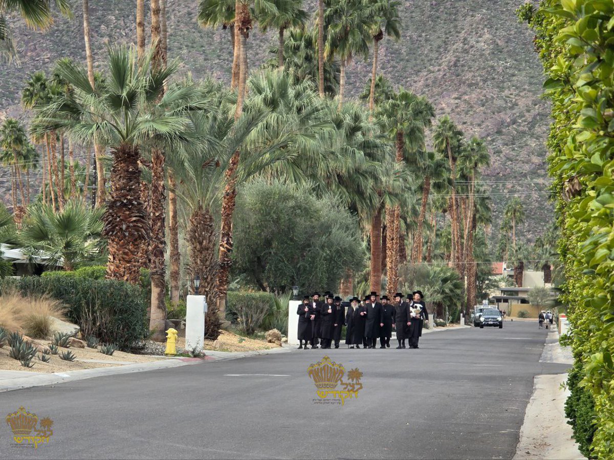 Satmar Live tweet media