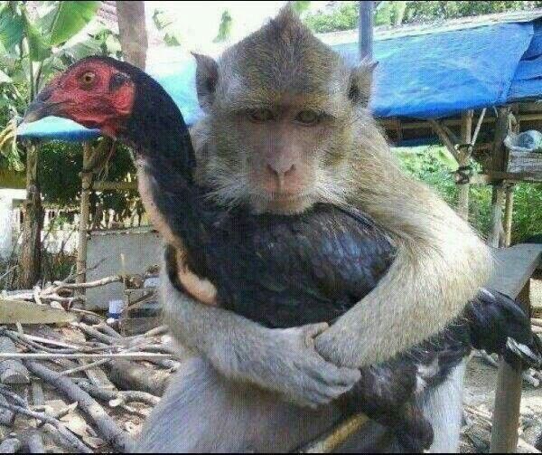 โต้งอย่าทิ้งเค้านะ