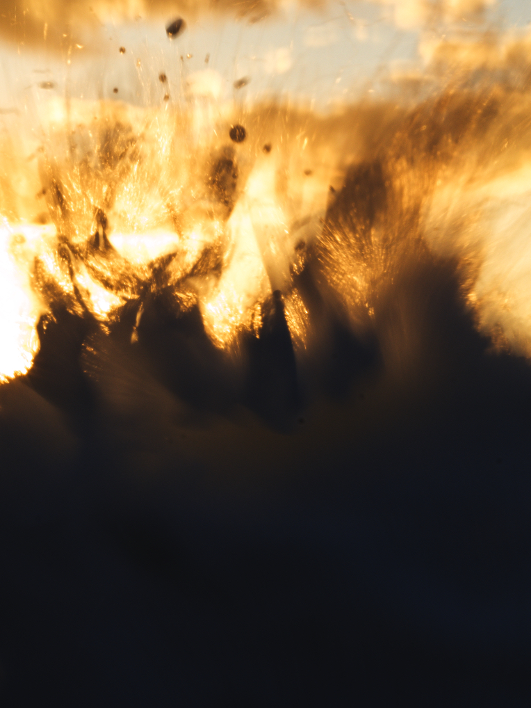 はつが 様 2枚目写真のもの全て ここ数年、ライカやフィルムの縛りがあってハッセルの写真を全くまとめ