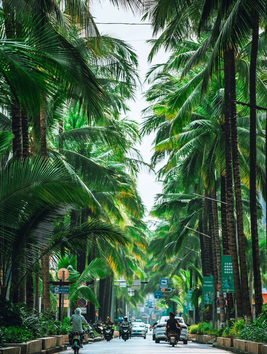 卤蛋（互fo）💯💯 tweet media