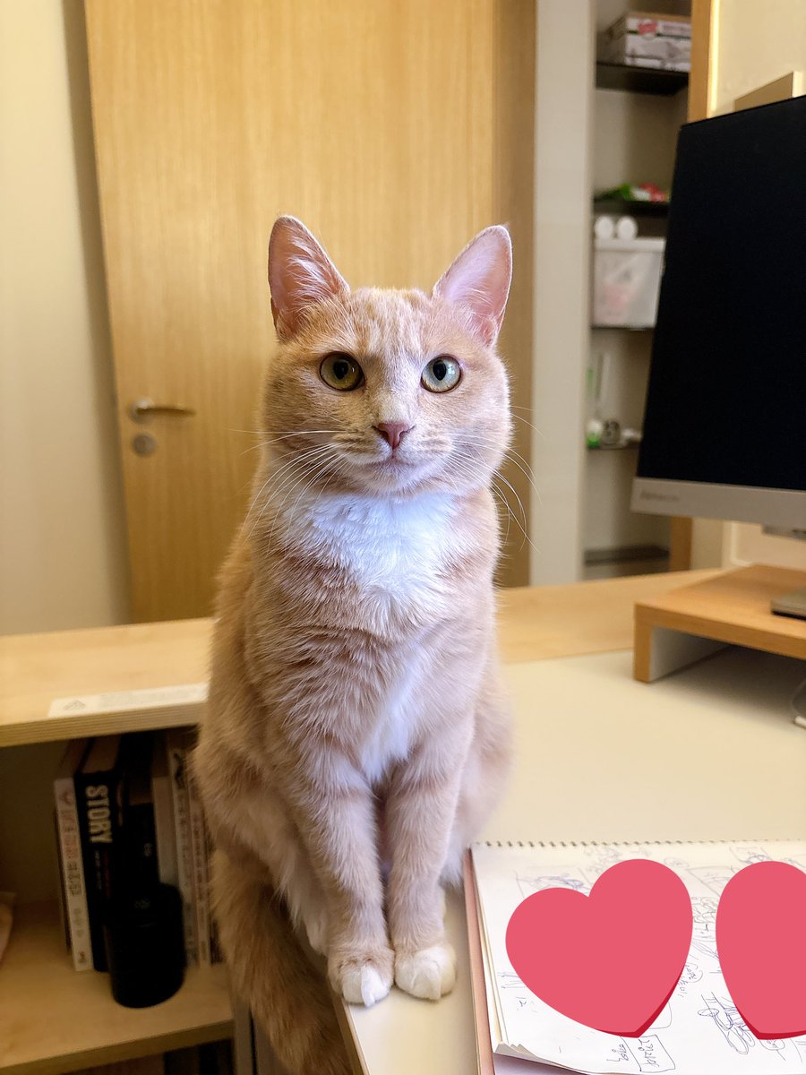 return_second's tweet image. 뭘 원하는지 알겠지만 언니는 일을 해야 해