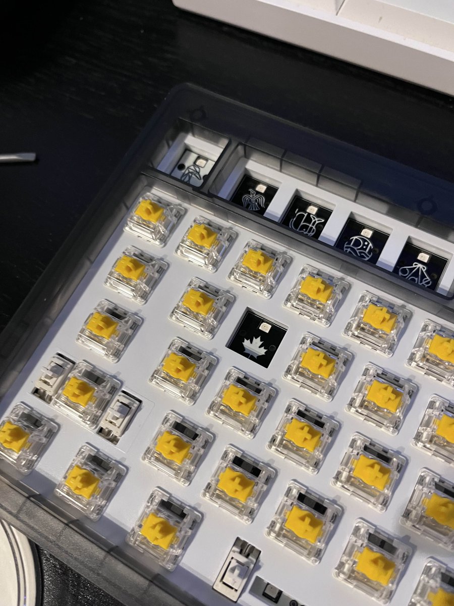 maple.software tweet media