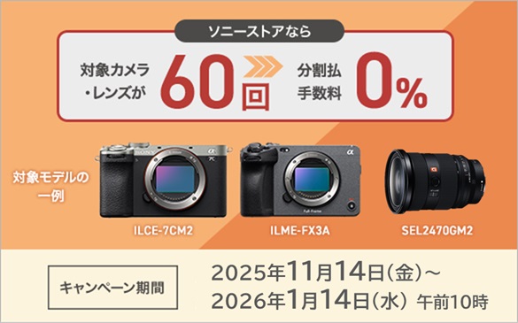 ❤即購入1000円OFF❤ ソニー SONY α550 鋭さよりも、やわらかさを ソニーストアでαを賢くご購入しませんか？ | デジタル一眼カメラα