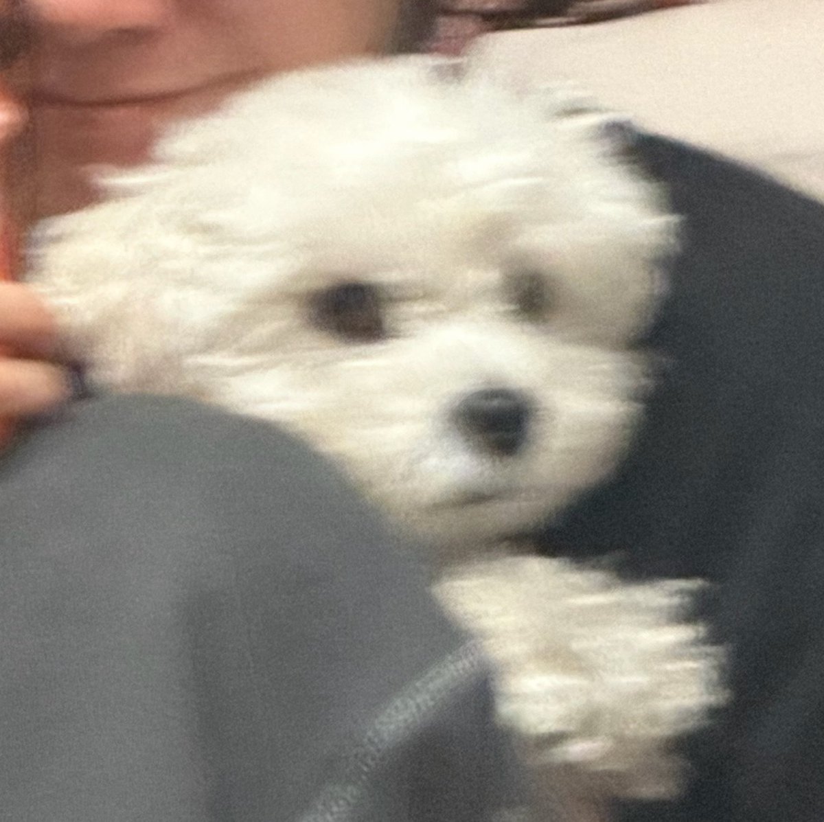 ㅋㅋㅋㅋㅋㅋㅋㅋㅋㅋㅋㅋㅋㅋㅋ아 너무 귀여움ㅜㅠㅠㅠㅠㅠㅠ💕🫣