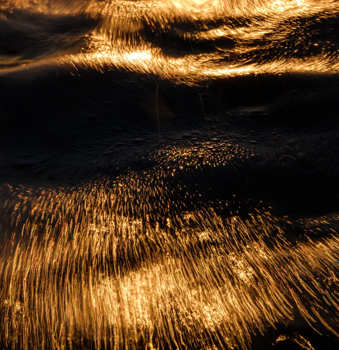 はつが 様 2枚目写真のもの全て ここ数年、ライカやフィルムの縛りがあってハッセルの写真を全くまとめ