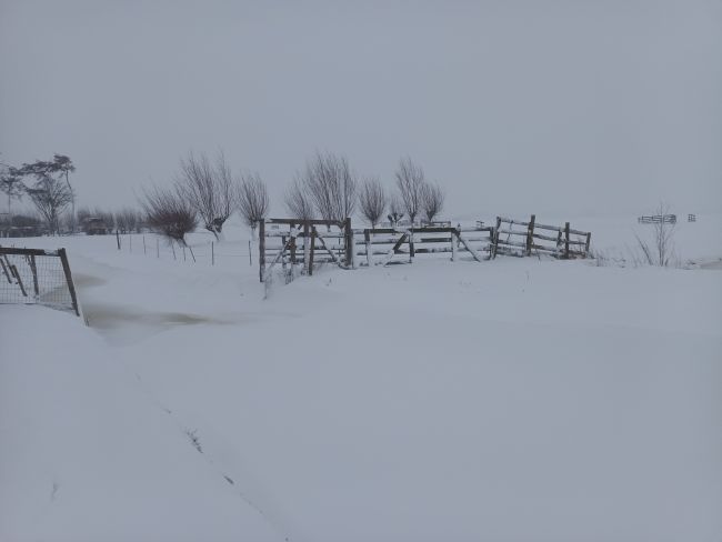 Weerpraatje Jan Visser janvissersweer.nl/weerpraatje-ac… Scandinavische taferelen in den lande! Bilthoven 21, De Valk 22, Woudenberg 24, Groot-Ammers (Alblasserwaard) 25, Kootwijk 35 en Hoog-Soeren 35-40 centimeter sneeuwdek. 🥶Foto van Gerie Lock-Baardman uit de Alblasserwaard.