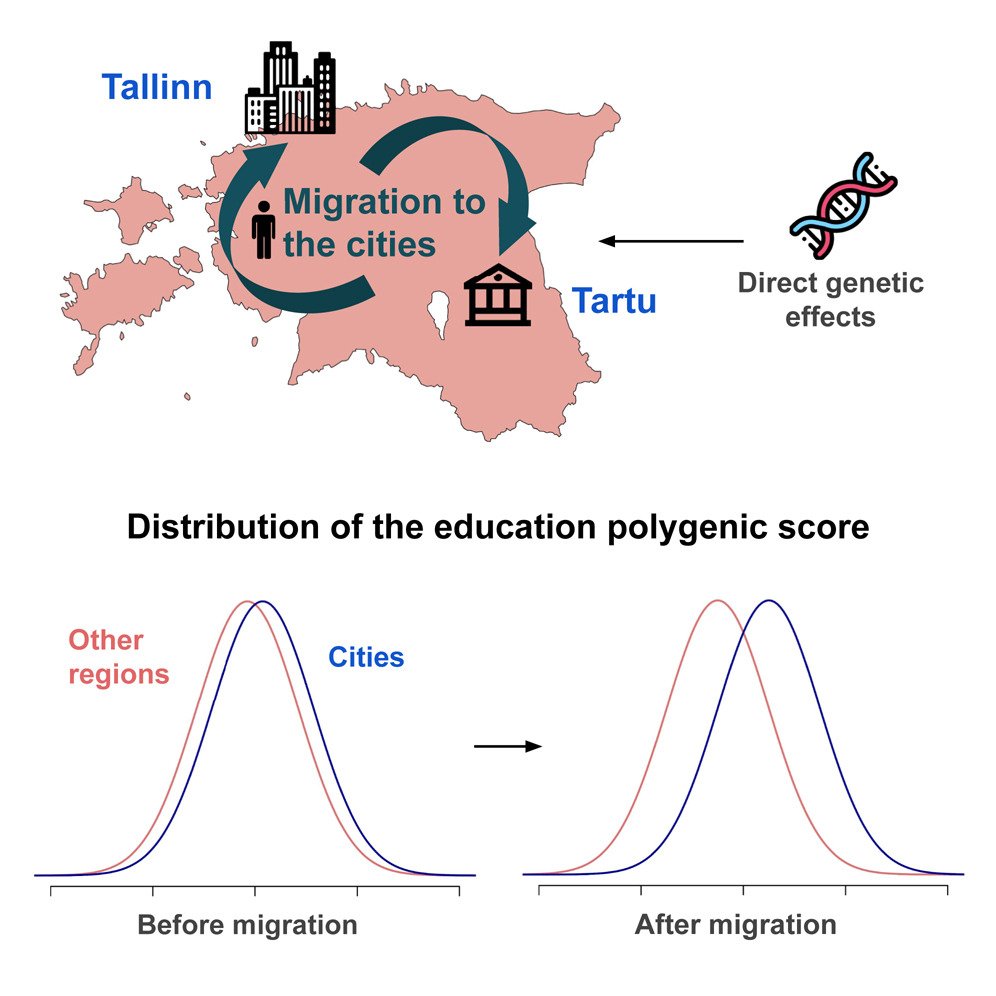 Ivan Kuznetsov tweet media