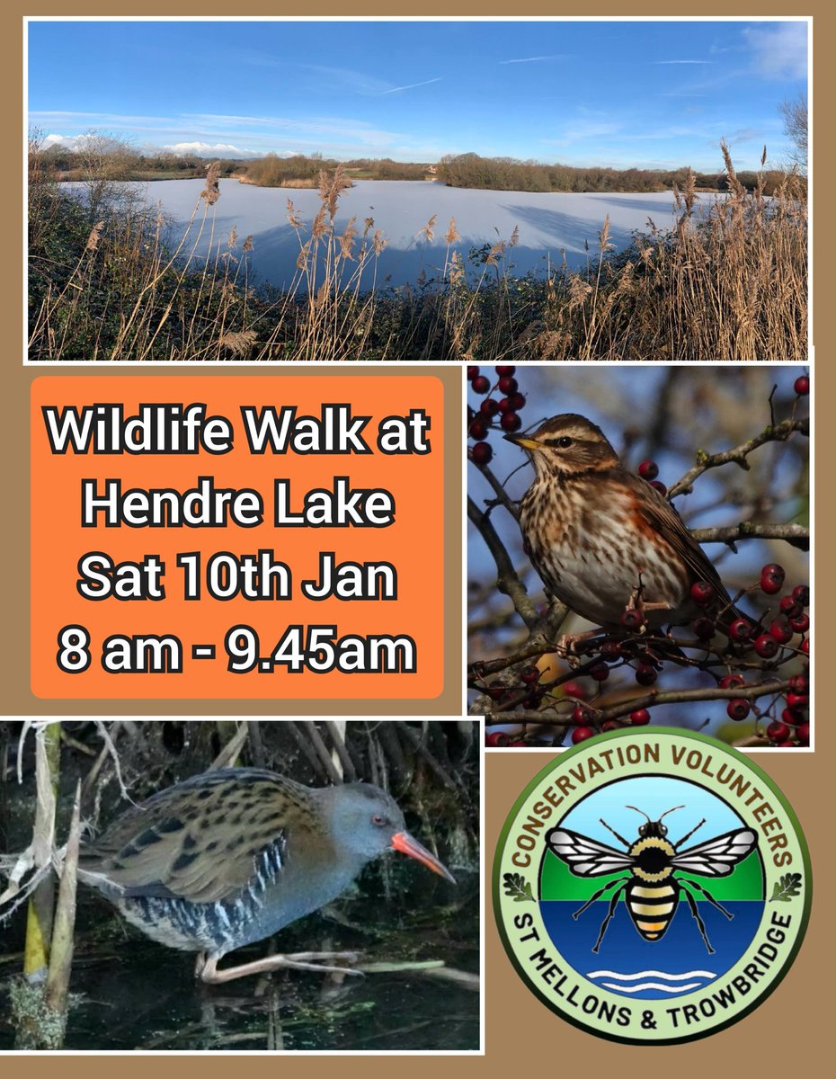Conservation Volunteers St Mellons & Trowbridge tweet media