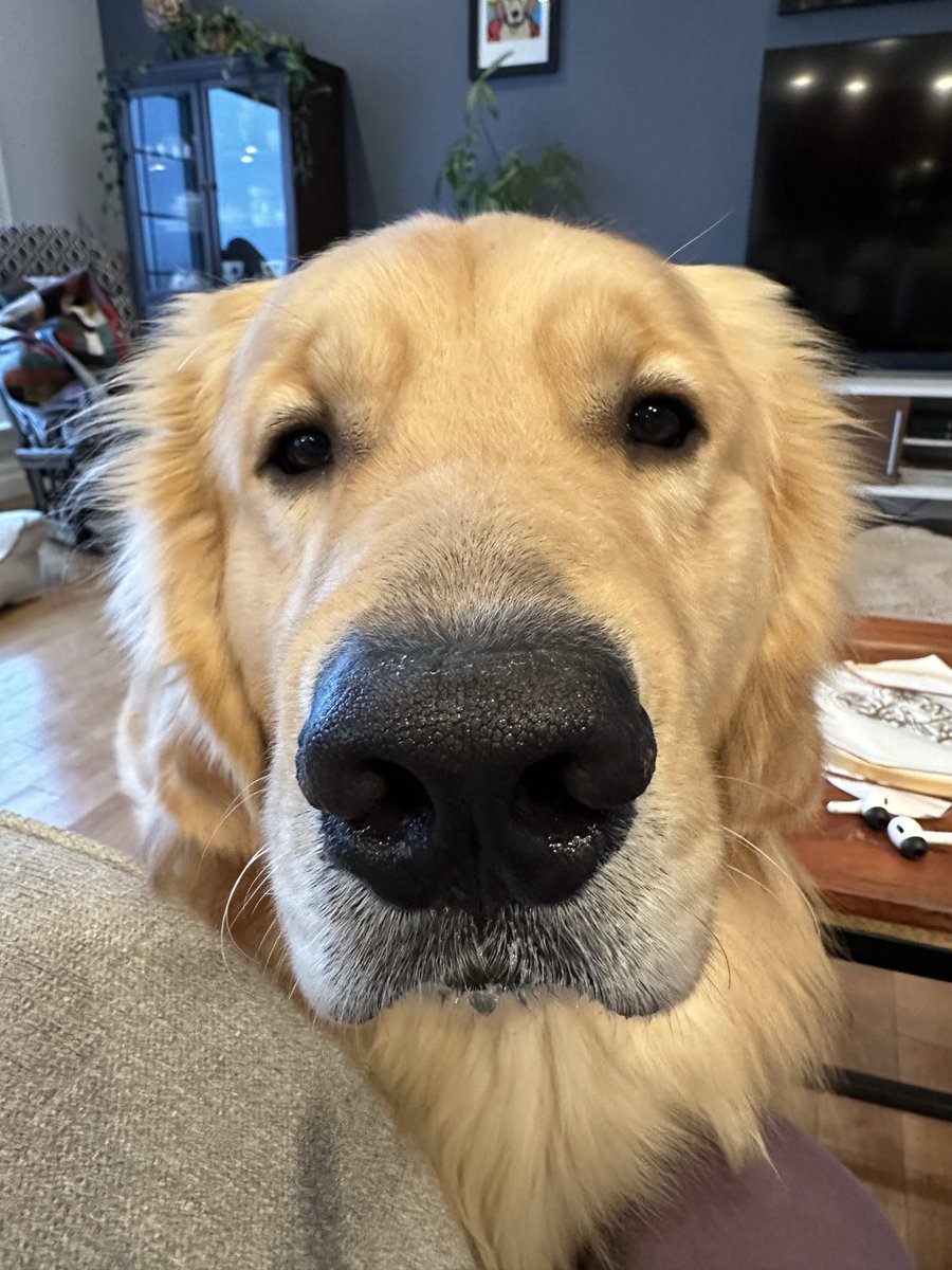 lynn2wine's tweet image. Caption this. Mum is speechless 😶🤭