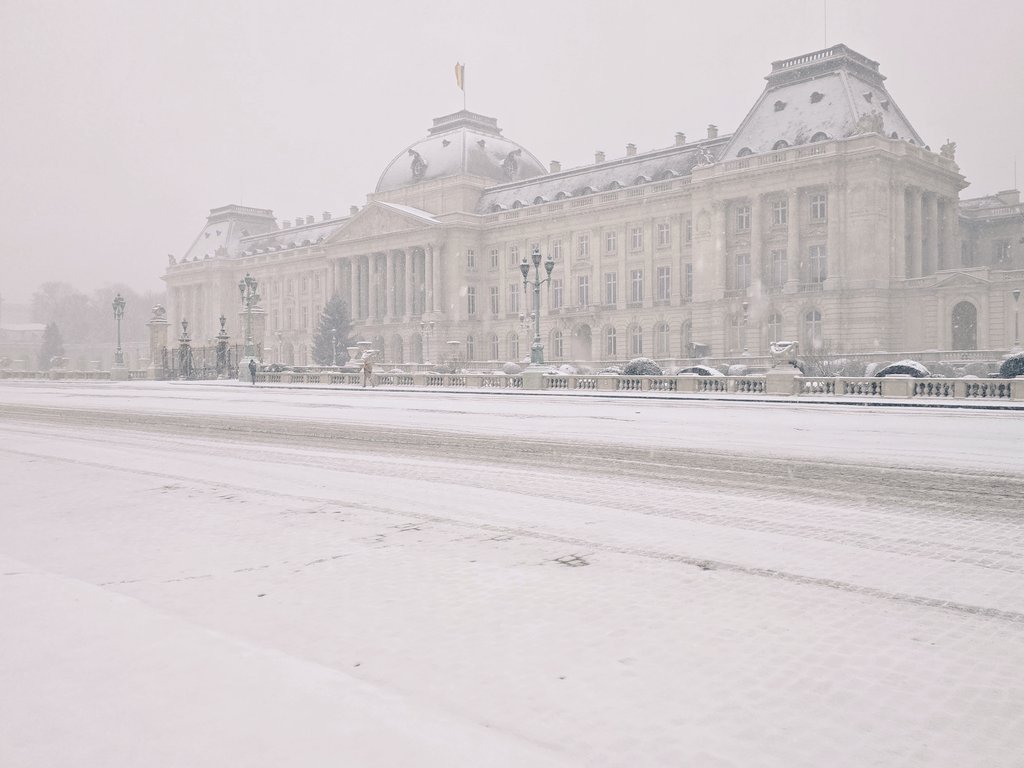 Amador Sánchez Rico tweet media