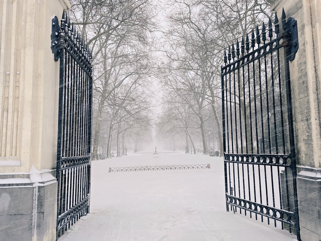 Amador Sánchez Rico tweet media