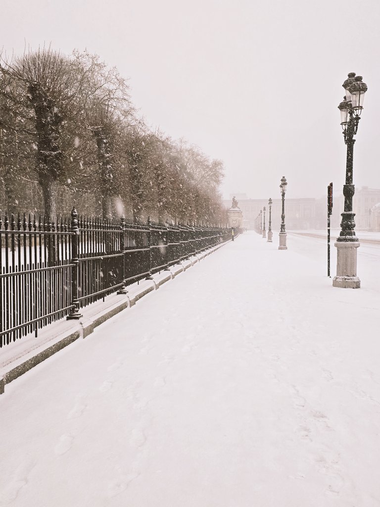 Amador Sánchez Rico tweet media