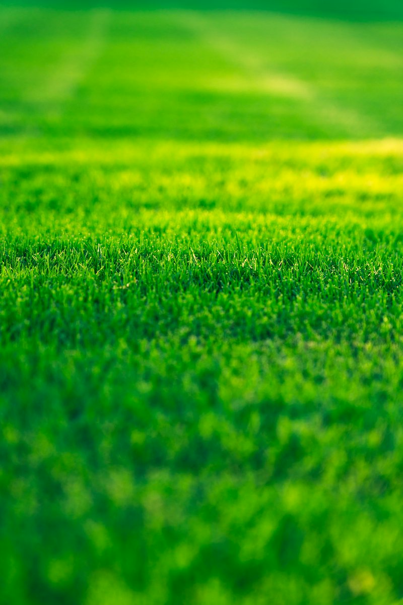 Criteslandscape's tweet photo. Proper maintenance and seasonal techniques are key. Invest in your lawn, and you invest in your home's future. Your yard can be your best investment. Need help with your lawn? Call us now! 📞(828) 979-0792 https://t.co/L3bmIRsIdu